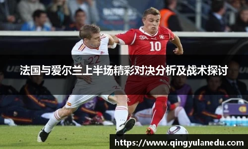 法国与爱尔兰上半场精彩对决分析及战术探讨